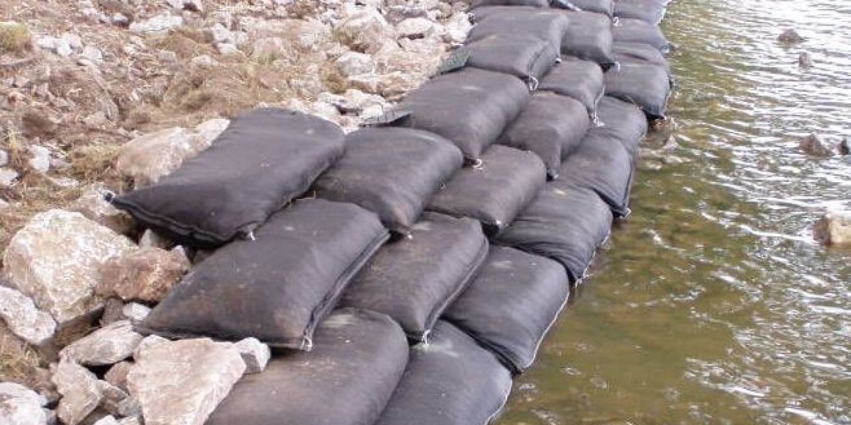 Interviews with Experts: Insights on the Future of Geotextile Bags